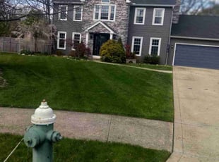 MICHAEL G.'s grass maintenance service result