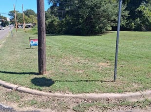 Li D.'s lawn service service result