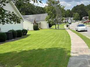 Tiffany K.'s lawn care service result