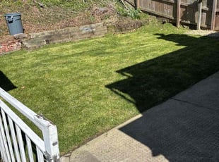 Michael M.'s lawn maintenance service result