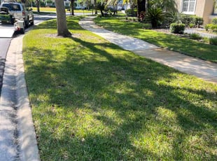Katie M.'s turf care service result