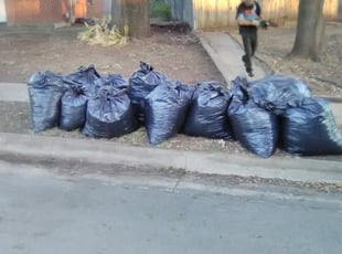 Joseph M.'s Leaf Removal service result