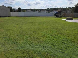 Haibibe V.'s lawn care service result