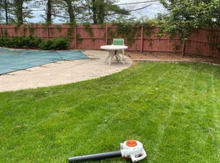 Jacqueline G.'s lawn care services service result