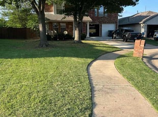 Janice D.'s grass cutting service result