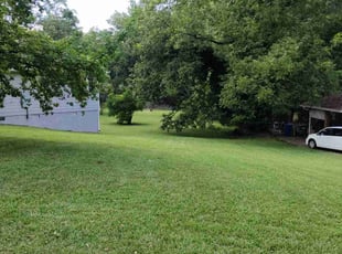 Elisabeth P.'s lawn care service result