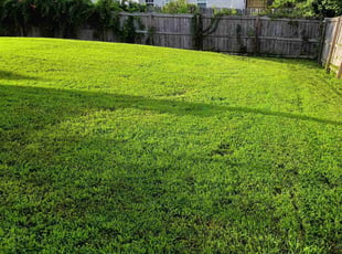 Danni J.'s lawn service service result