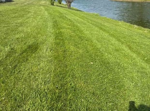 Yi G.'s grass maintenance service result