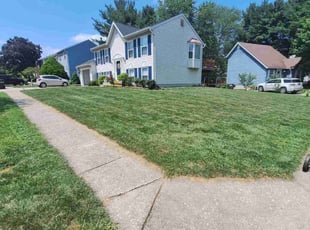 Randy K.'s lawn care service result