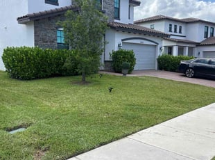 Maria K.'s lawn maintenance service result