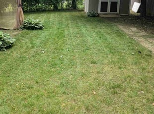 Jenna B.'s turf care service result