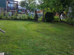 Jeffrey C.'s grass maintenance service result