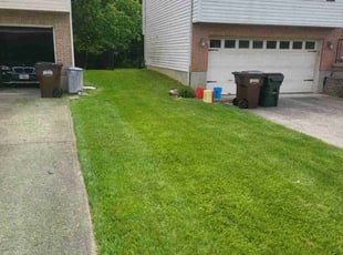 Frederick S.'s lawn care service result