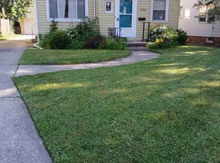 Jean W.'s lawn care services service result