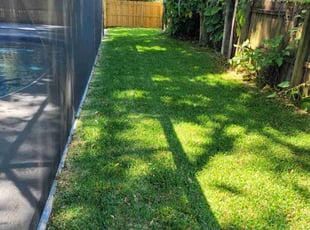 Jaynellen D.'s lawn maintenance service result