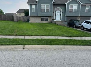 Bill A.'s turf maintenance service result