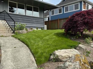 Myesha F.'s grass cutting service result