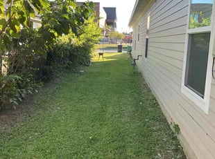 Clemencia Z.'s grass cutting service result