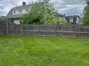 Gail H.'s lawn service service result