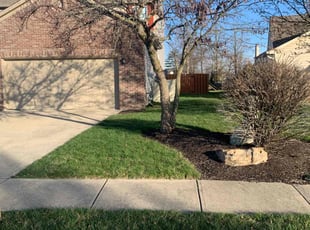 Dalton B.'s lawn service service result
