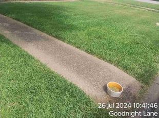 Jerry L.'s lawn maintenance service result