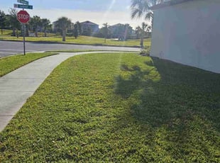 Jamiya J.'s landscaping service result