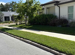 Rizaldy N.'s grass cutting service result