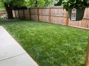 Justin H.'s grass maintenance service result