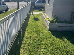 Jeannette H.'s turf maintenance service result