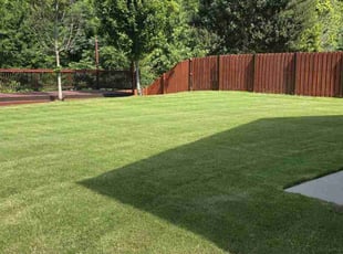 Melissa S.'s lawn maintenance service result