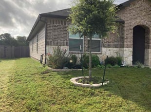 James H.'s lawn care services service result