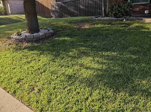 Marion M.'s grass maintenance service result