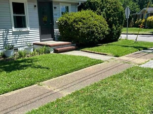 Helen H.'s lawn maintenance service result