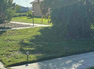 Sue M.'s lawn care service result
