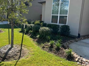 Tom R.'s Bush Trimming service result