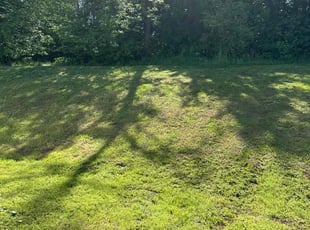 Kenjay W.'s lawn service service result