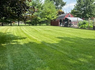 Heather D.'s grass cutting service result