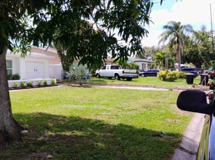 Sonya M.'s turf maintenance service result