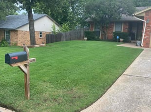 Robert B.'s grass maintenance service result