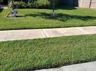 Michelle R.'s lawn service service result