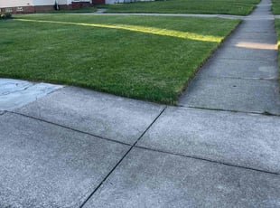 Ronny J.'s lawn service service result