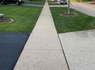 Robert M.'s turf care service result