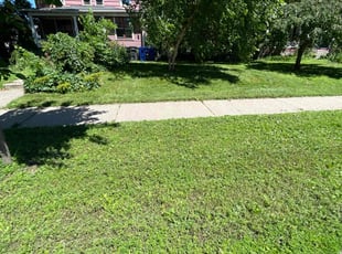 Laura D.'s grass maintenance service result