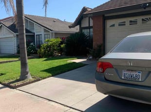 Jesenia L.'s turf care service result