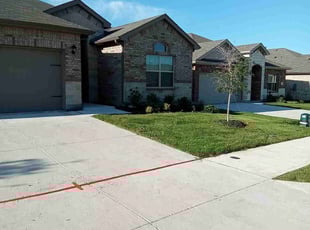 Tim F.'s lawn maintenance service result