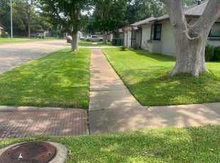Jim P.'s lawn care service result