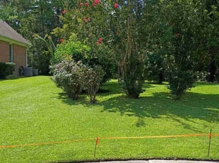 Christina H.'s lawn care services service result