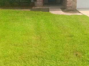 Len P.'s Bush Trimming service result