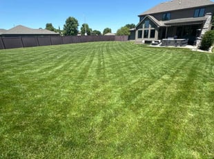 Anoh K.'s turf maintenance service result