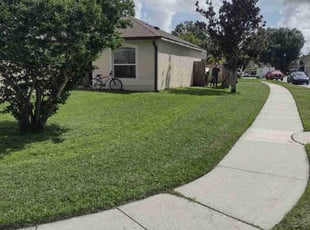 Kimberly H.'s turf care service result